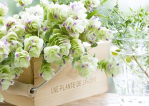 横浜_リラクゼーション_TOP